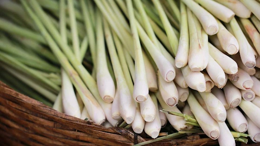 Cardio Slim Tea ingrediant